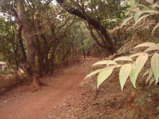 Dusty paths, Matheran, RAigad, Maharashtra, ShwethaKrish, ShoePenLens