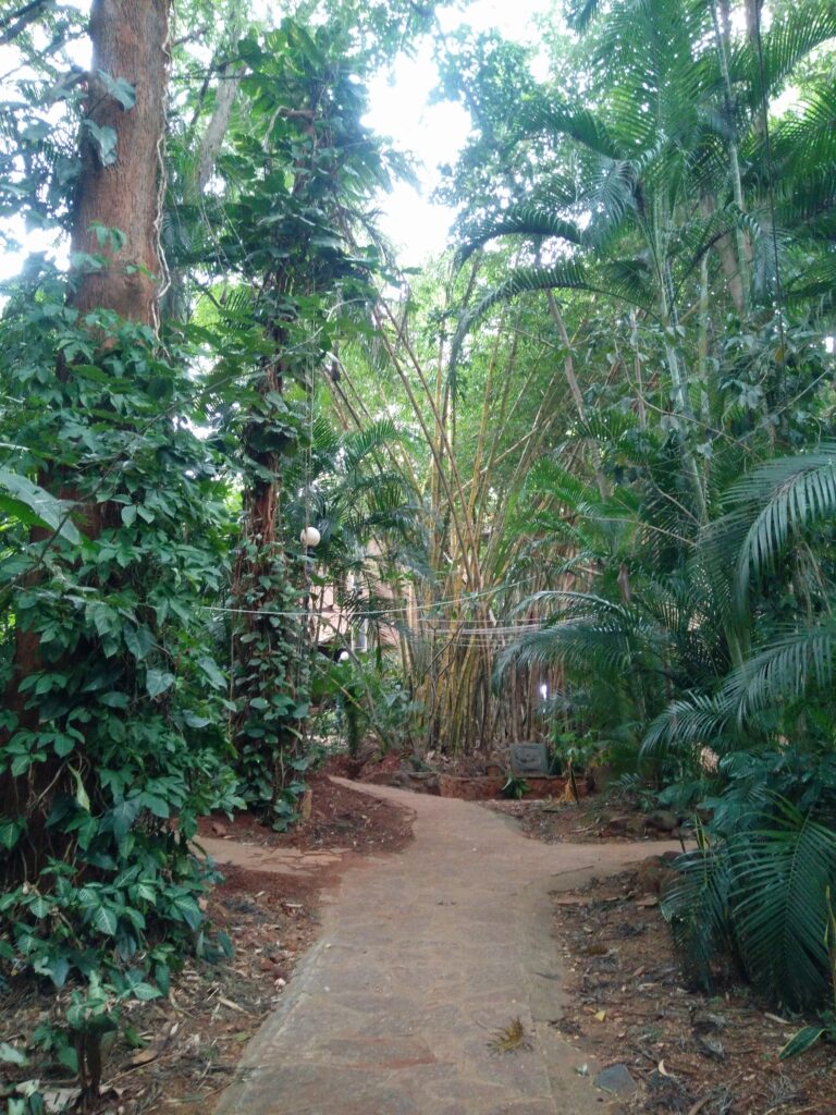 Walking Trails, Fireflies Ashram, Shwetha Krish, ShoePenLens