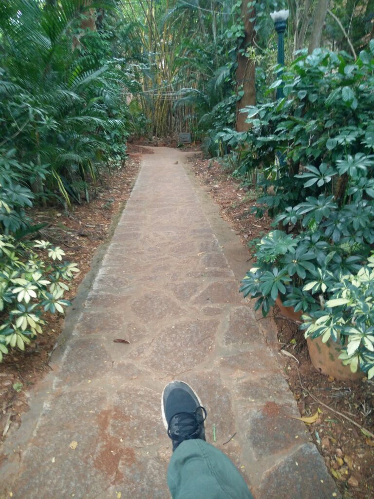 One step at a time, Fireflies Ashram, Shwetha Krish, ShoePenLens