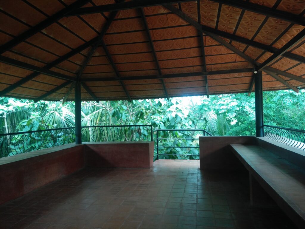 Teak View Point, Fireflies Ashram, Shwetha Krish, ShoePenLens, View of tree canopies from this huge space