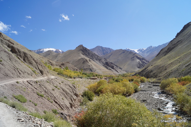 Enroute Markha Valley, ShoePenLens, Shwetha Krish, Himalayas, Ladakh