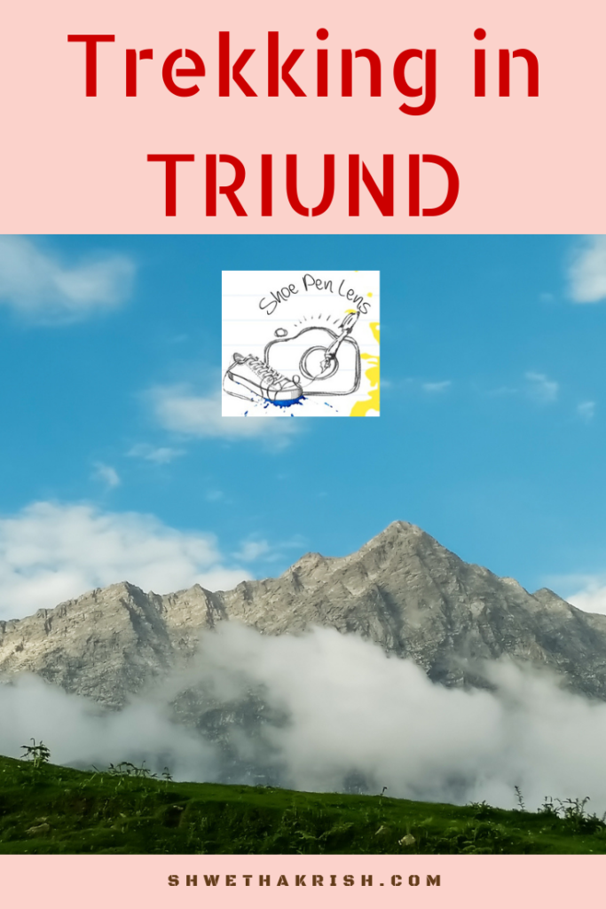 data-pin-description="Trekking in Triund, Himalayas"